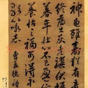 元代边武行草书法《龟虽寿》+《冬草赋》