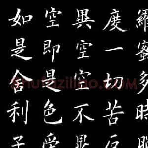 卢伟滨楷书欣赏般若波罗蜜多心经