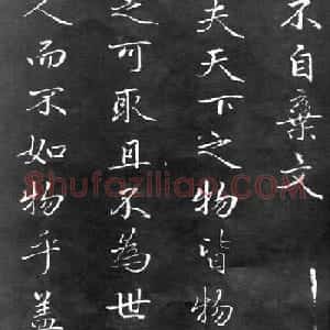 赵孟頫行书欣赏《不自弃文》大图