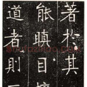 张裕钊的“南宫体”楷法蜕变浑穆高古
