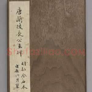 唐代窦怀哲楷书《兰陵公主碑》