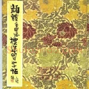 正楷书法教程《颜体多宝塔标准习字帖》