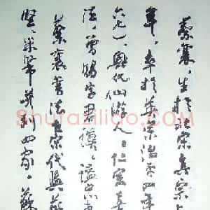 沈鹏行书书法题识《蔡襄简介》