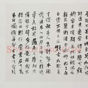 清代 何绍基行书《书苏轼和子由论书等杂诗册》