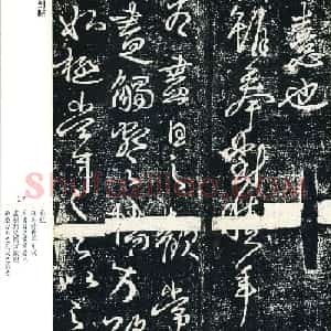 王献之33岁行草书法《奉对帖》两种