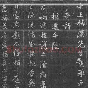 明代 张瑞图行书《承天寺十奇诗》