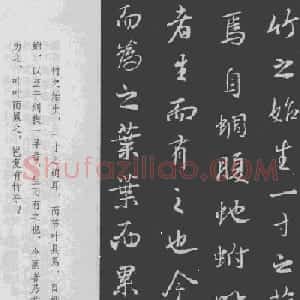 王羲之书法集字《文与可画筼筜谷偃竹记》