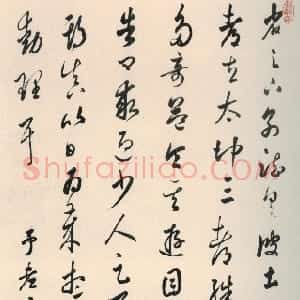 清代 张照草书《节临蜀都帖轴》
