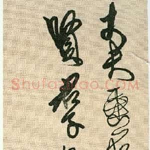 清代 傅山草书《杜甫赤霄行诗句》