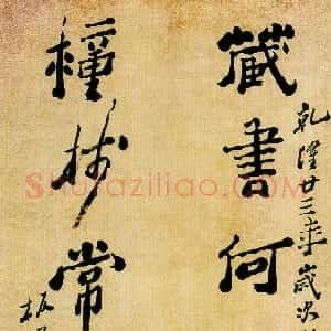清代 郑燮行书《行书藏书种柿七言联》