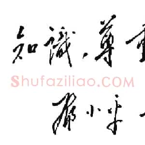 近现代 邓小平行书《为全军医学科学技术大会题词1987》