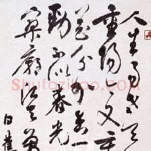 近现代 白蕉草书《草书毛主席诗词立轴》