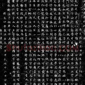 唐代 楷书墓志拓片《唐尼慈和禅师墓志》高清图片欣赏