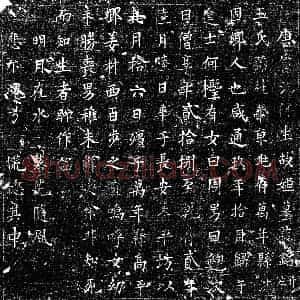 唐代 楷书墓志拓片《唐何生故姬墓志》高清图片欣赏