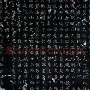 唐代 楷书墓志拓片《唐苗质墓志》高清图片欣赏