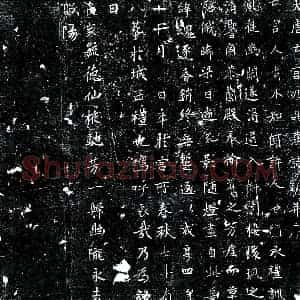 唐代 楷书墓志拓片《唐宫人九品墓志》高清图片欣赏