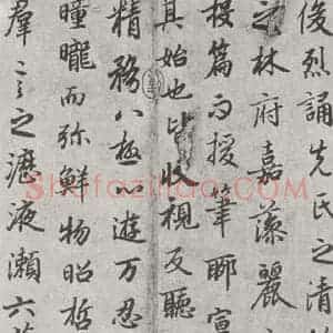 唐代 陆柬之 行楷书《唐陆柬之书陆机文赋之十二》毛笔书法行楷书作品图片欣赏
