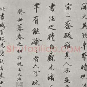 行书《唐玄宗书鹡鸰颂题跋之十》毛笔书法行书作品图片欣赏
