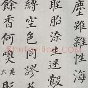 明代 董其昌 楷书《临颜鲁公多宝塔碑 之六》毛笔书法楷书作品图片欣赏