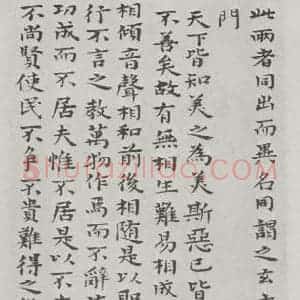 清代 元济 楷书《清元济书道德经墨迹之三》毛笔书法楷书作品图片欣赏