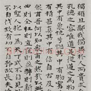 清代 元济 楷书《清元济书道德经墨迹之十二》毛笔书法楷书作品图片欣赏