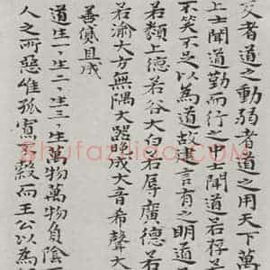 清代 元济 楷书《清元济书道德经墨迹之二十二》毛笔书法楷书作品图片欣赏