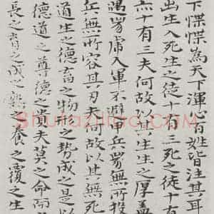 清代 元济 楷书《清元济书道德经墨迹之二十五》毛笔书法楷书作品图片欣赏