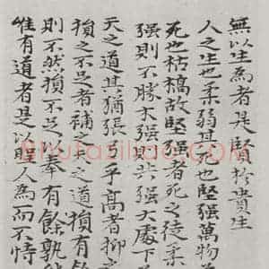 清代 元济 楷书《清元济书道德经墨迹之三十六》毛笔书法楷书作品图片欣赏