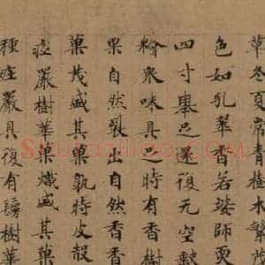 唐代 唐人 楷书《唐人转轮圣王经 之十六》毛笔书法楷书作品图片欣赏