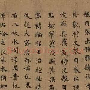 唐代 唐人 楷书《唐人转轮圣王经 之十七》毛笔书法楷书作品图片欣赏