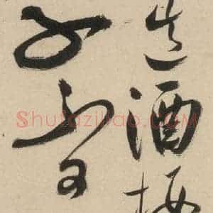 明代 祝允明 草书《自书诗上之十六》毛笔书法草书作品图片欣赏