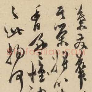 明代 陈道复 草书《古诗十九诗上之二十三》毛笔书法草书作品图片欣赏