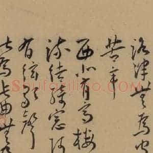 明代 王宠 草书《王宠古诗十九首 之六》毛笔书法草书作品图片欣赏