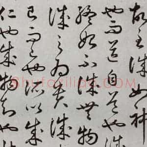 明代 豊道生 草书《古本中庸 (下)之六》毛笔书法草书作品图片欣赏