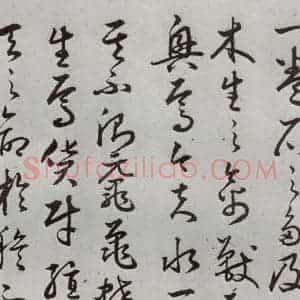 明代 豊道生 草书《古本中庸 (下)之十》毛笔书法草书作品图片欣赏