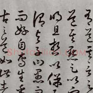 明代 豊道生 草书《古本中庸 (下)之十三》毛笔书法草书作品图片欣赏