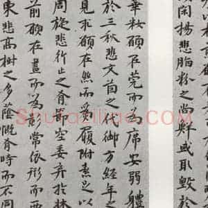 明代 祝允明 行书《陶渊明闲情赋 之二》毛笔书法行书作品图片欣赏