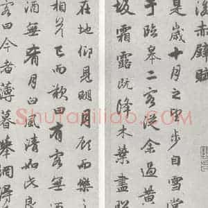 宋代 赵孟頫 行楷书《赤壁二赋 (13)(14)》毛笔书法行楷书作品图片欣赏