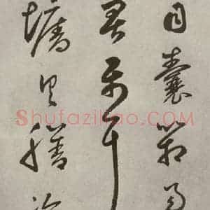 元代 边武 草书《千文之五十》毛笔书法草书作品图片欣赏
