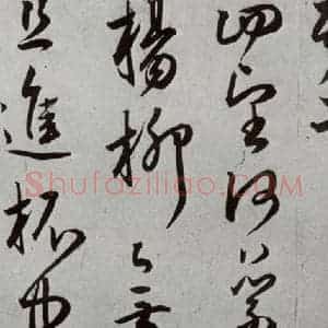 明代 王宠 草书《元明书翰(43)诗⑹》毛笔书法草书作品图片欣赏