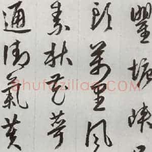 明代 周天球 草书《元明书翰(53)杜少陵诗四首⑹》毛笔书法草书作品图片欣赏