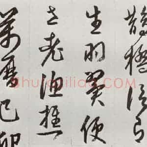 明代 周天球 草书《元明书翰(53)杜少陵诗四首⑽》毛笔书法草书作品图片欣赏