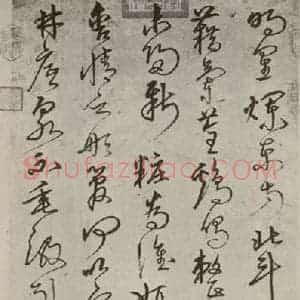 沈杰 草书《古诗 之一》毛笔书法草书作品图片欣赏