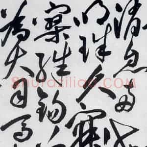 明代 祝允明 草书《祝允明书杜甫诸将五首(11)》毛笔书法草书作品图片欣赏