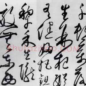 明代 丰坊 草书《丰坊书杜甫哀王孙等二首(13)》毛笔书法草书作品图片欣赏