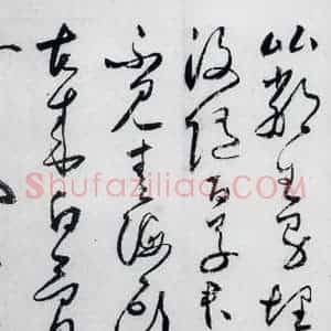 明代 丰坊 草书《丰坊书杜甫哀王孙等二首(17)》毛笔书法草书作品图片欣赏