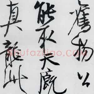 清代 程京萼 草书《程京萼书杜甫骢马行(9)》毛笔书法草书作品图片欣赏