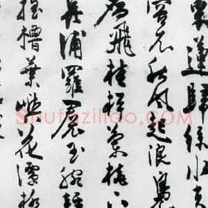 明代 陈淳 草书《陈淳书王勃 李白 王昌龄诸人采莲曲(1)》毛笔书法草书作品图片欣赏