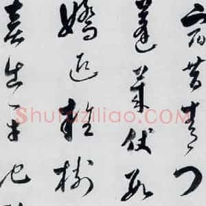 明代 娄坚 草书《娄坚书杜甫 李白诗十首(9)》毛笔书法草书作品图片欣赏