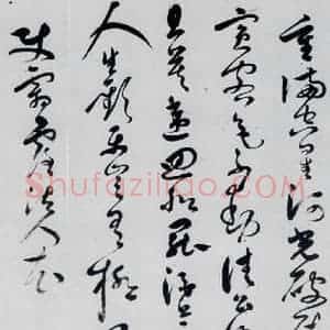 明代 胡正 草书《胡正书岑参 杜甫诗三首(7)》毛笔书法草书作品图片欣赏